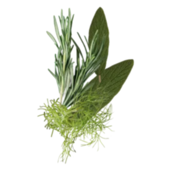 15-b