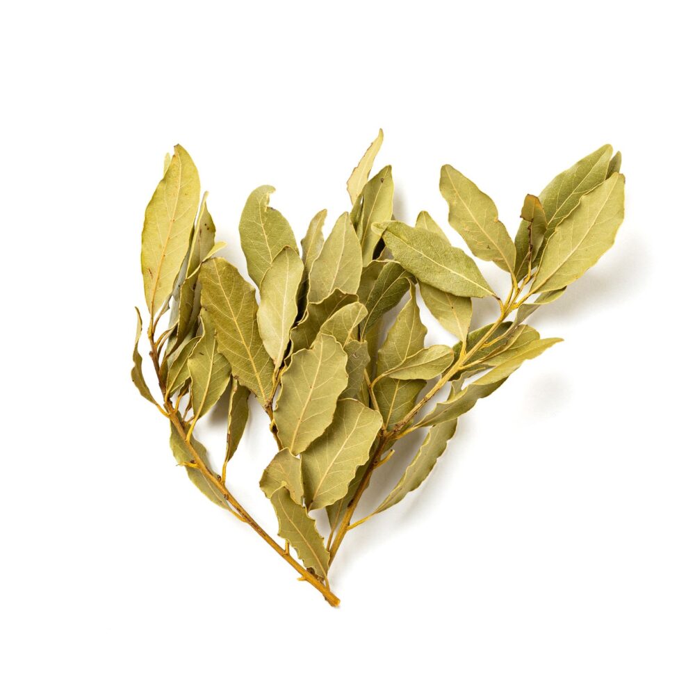 Foglie di Alloro (10gr) - immagine 2