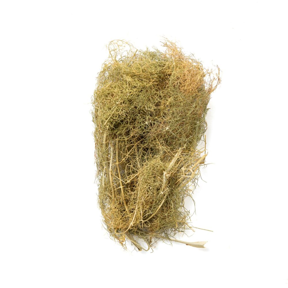 Foglie di Finocchietto (10gr) - immagine 2