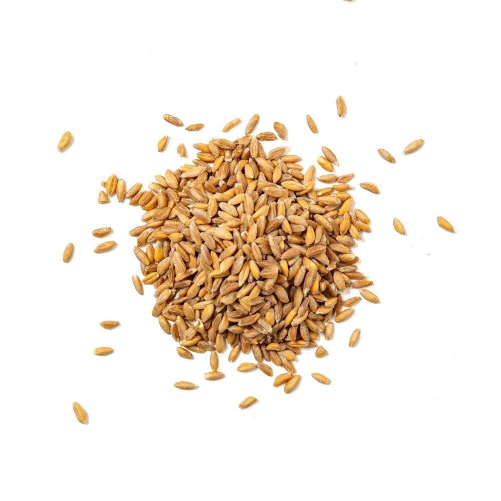 Farro Decorticato Bio - immagine 2