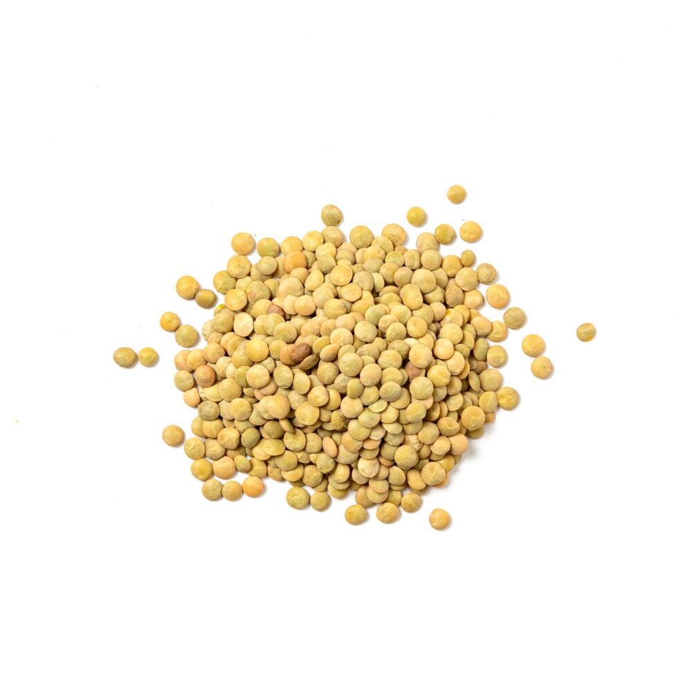 Lenticchie Verdi Maior Bio - immagine 2