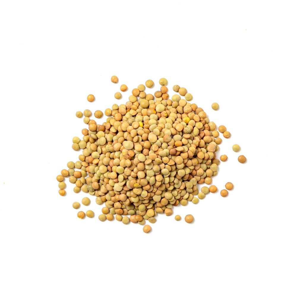 Lenticchie Verdi Minor Bio - immagine 2