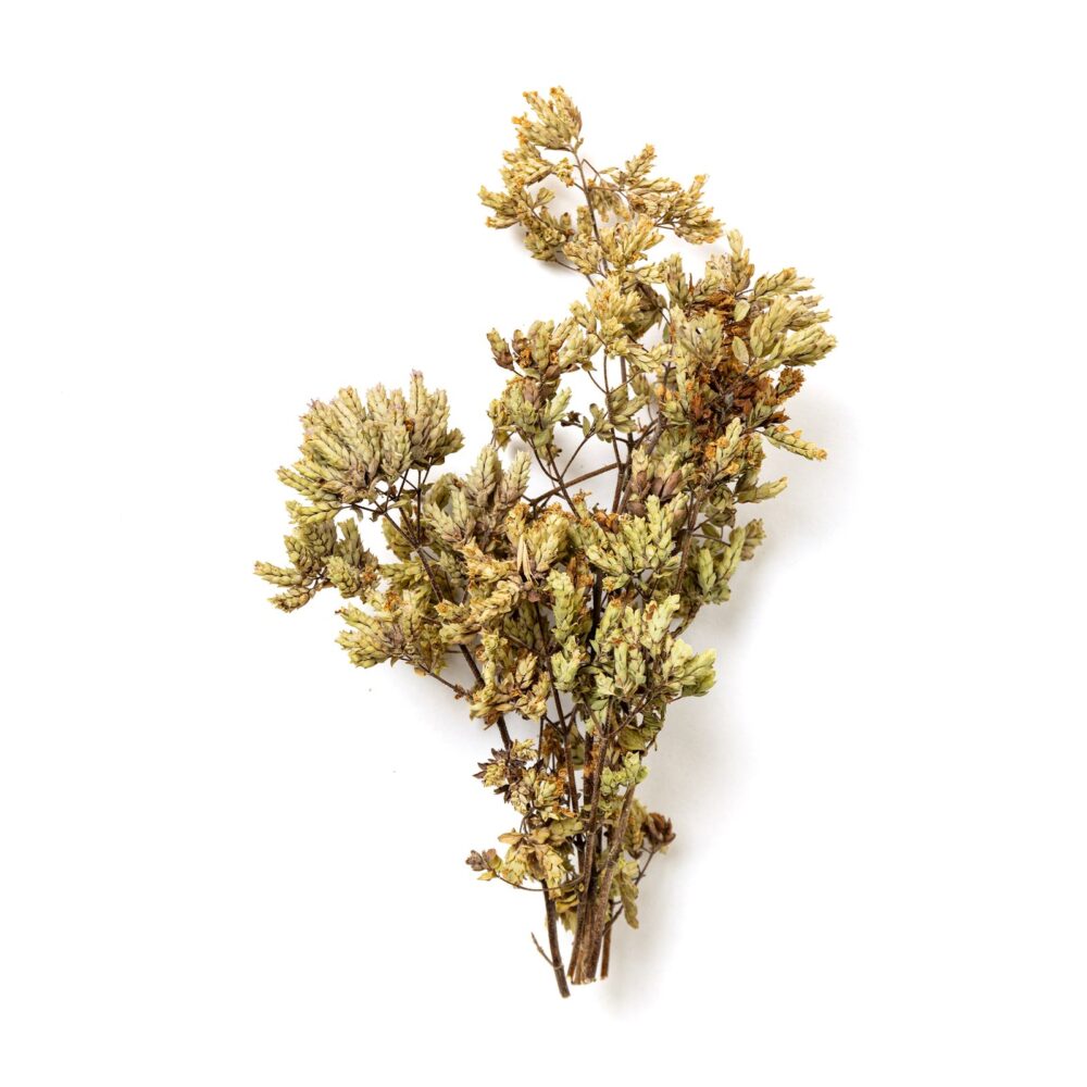 Foglie di Rosmarino (10gr) - immagine 2