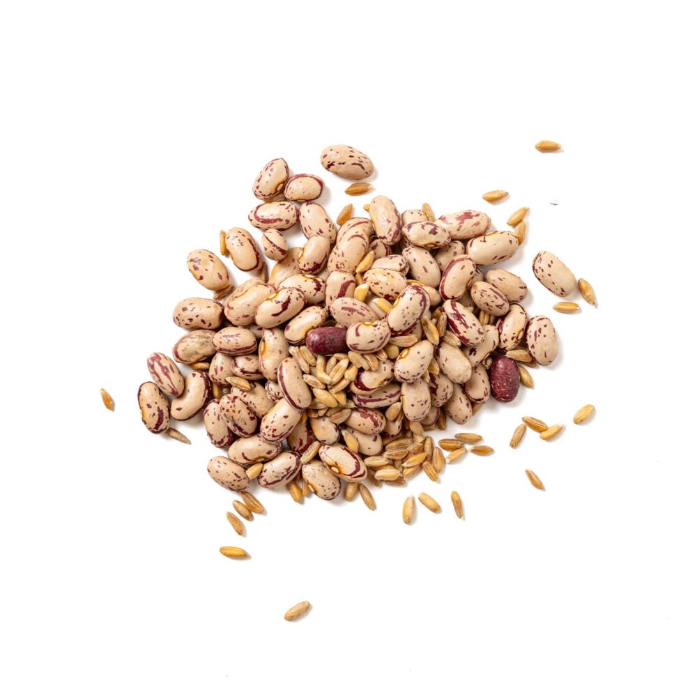 Zuppa Garfagnina Bio - immagine 2